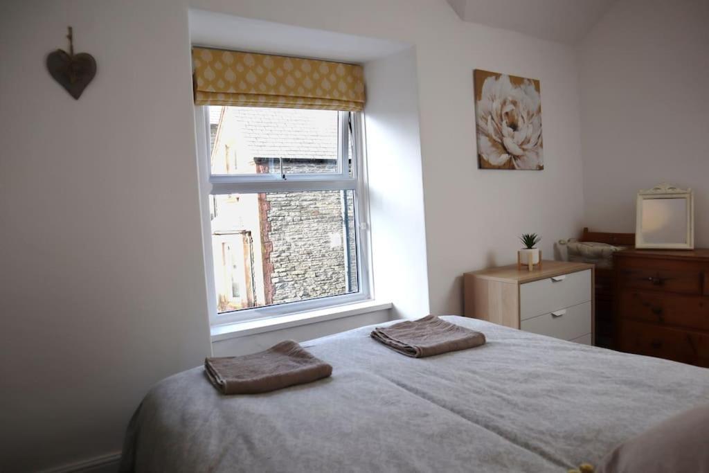 Dol Bach - Your Homely Welsh Cottage In The Heart Of Snowdonia Blaenau Ffestiniog Dış mekan fotoğraf