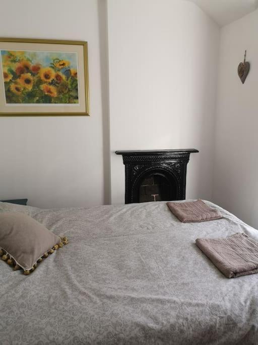 Dol Bach - Your Homely Welsh Cottage In The Heart Of Snowdonia Blaenau Ffestiniog Dış mekan fotoğraf