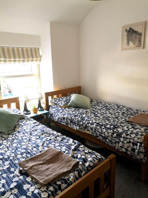 Dol Bach - Your Homely Welsh Cottage In The Heart Of Snowdonia Blaenau Ffestiniog Dış mekan fotoğraf