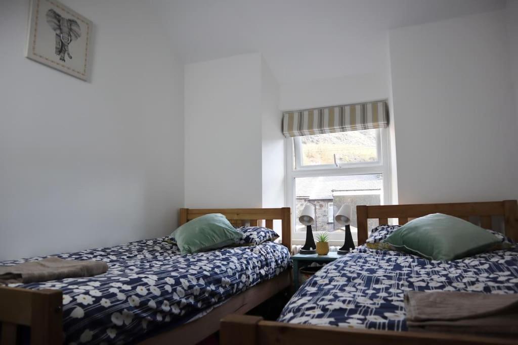 Dol Bach - Your Homely Welsh Cottage In The Heart Of Snowdonia Blaenau Ffestiniog Dış mekan fotoğraf