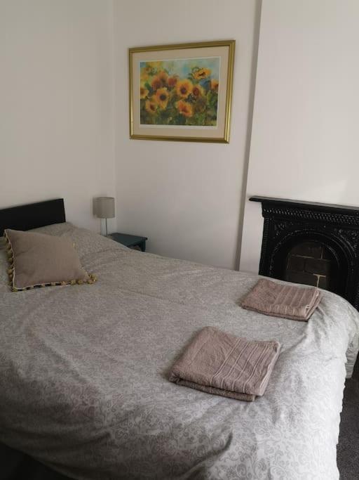 Dol Bach - Your Homely Welsh Cottage In The Heart Of Snowdonia Blaenau Ffestiniog Dış mekan fotoğraf